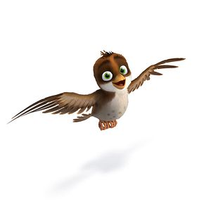 Bilder Überflieger - Kleine Vögel, großes Geklapper