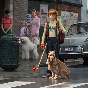 Bilder Boule & Bill 2