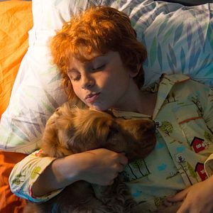 Bilder Boule & Bill 2