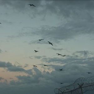 Bilder Tarajal: Desmuntant la impunitat a la frontera sud