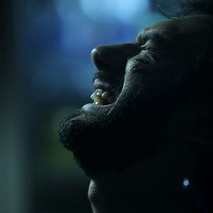 Bilder La noche del ratón