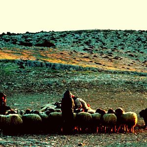 Bilder Zeitgeist Protest