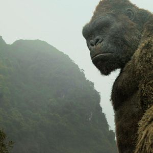 Bilder Kong: Skull Island
