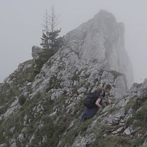 Bilder Schwarzer Panther