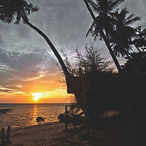 Bilder Land Of Smiles - Reise ohne Wiederkehr