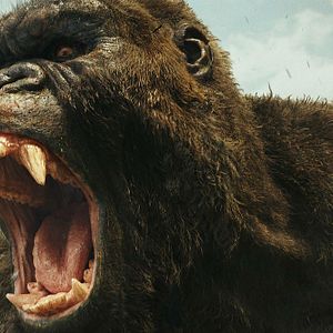 Bilder Kong: Skull Island