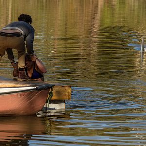 Bilder Summer Shark Attack