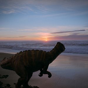 Bilder Voyage of Time: Life's Journey