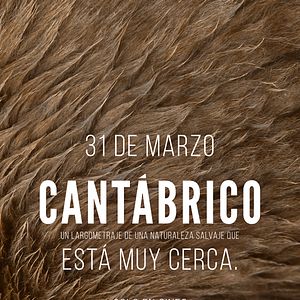 Bilder Cantábrico: Los dominios del oso pardo