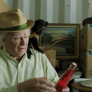 Bilder Robert Gustafsson