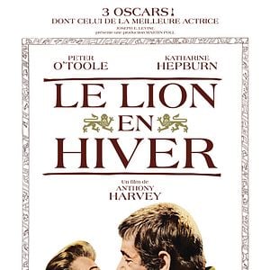 Bilder Der Löwe im Winter