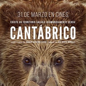 Bilder Cantábrico: Los dominios del oso pardo