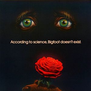 Bilder Bigfoot und die Hendersons