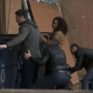 Bilder Tawny Cypress