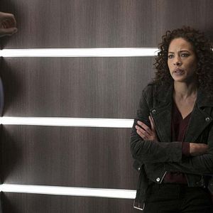 Bilder Tawny Cypress