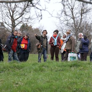 Bilder L'éveil de la permaculture