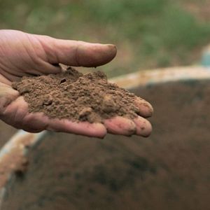 Bilder L'éveil de la permaculture