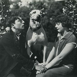 Bilder Der Mann mit den 1000 Bräuten