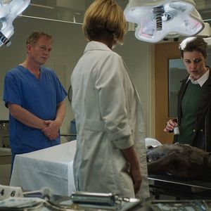 Bilder Joanne Crawford