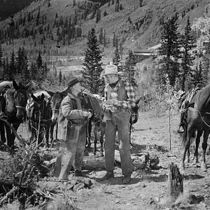 Bilder Die Uhr ist abgelaufen