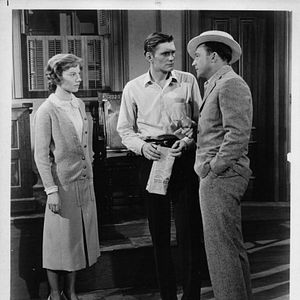 Bilder Wer den Wind sät