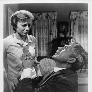 Bilder Wer den Wind sät