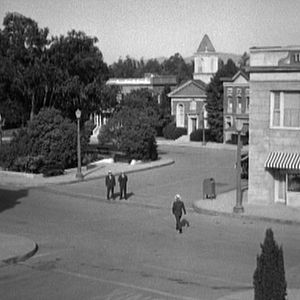 Bilder Wer den Wind sät