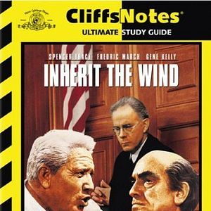 Bilder Wer den Wind sät