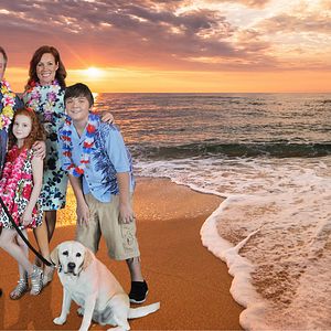 Bilder Ein Hund rettet den Sommer