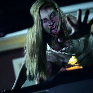 Bilder Toni Ann Gambale