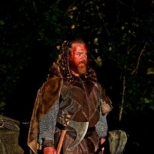 Bilder Viking Legacy