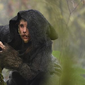 Bilder Bridgett Riley