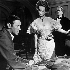 Bilder Die kleinen Füchse