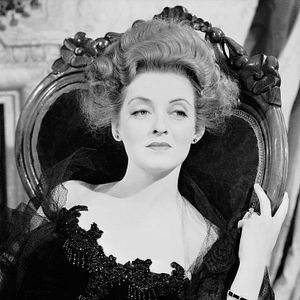 Bilder Die kleinen Füchse