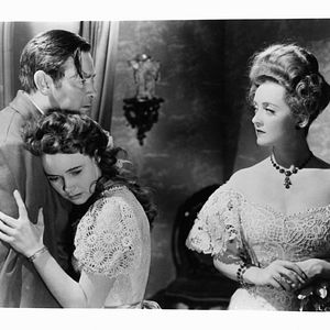 Bilder Die kleinen Füchse