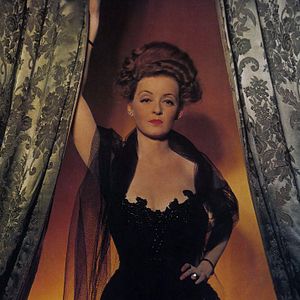 Bilder Die kleinen Füchse