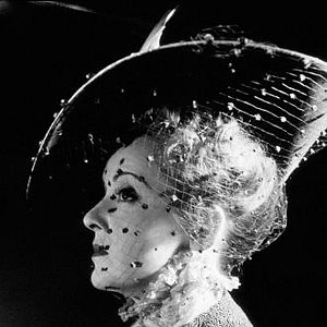 Bilder Die kleinen Füchse