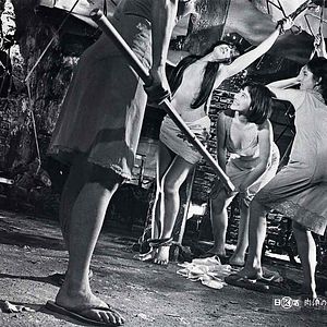 Bilder Nakito - Profis der Liebe