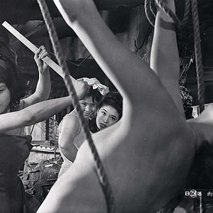 Bilder Nakito - Profis der Liebe