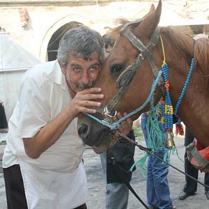 Bilder Mezeci Çırağı