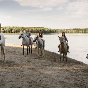 Bilder Rosa Meinecke