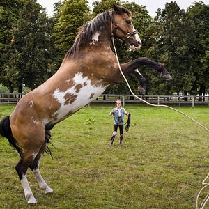 Bilder Hanni & Nanni - Mehr als beste Freunde