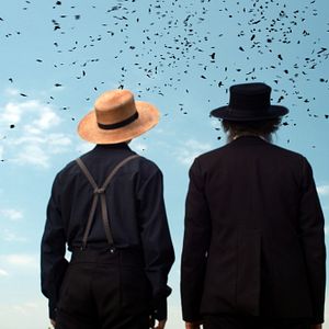 Bilder The Harvesting - Die Sonnenwende naht