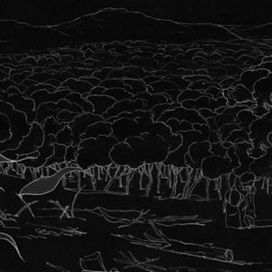 Bilder Bolingo. El bosque del amor