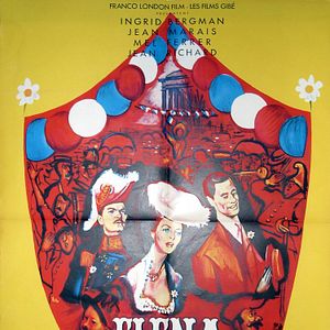 Bilder Weiße Margeriten