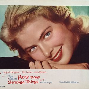 Bilder Weiße Margeriten