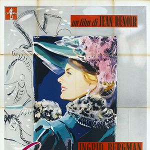 Bilder Weiße Margeriten