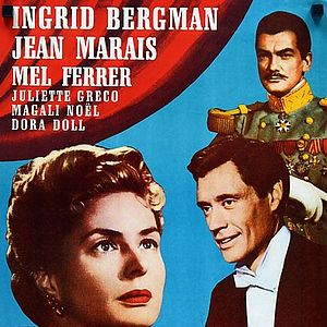 Bilder Weiße Margeriten