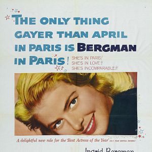 Bilder Weiße Margeriten