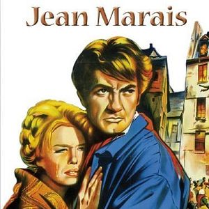 Bilder Weiße Margeriten